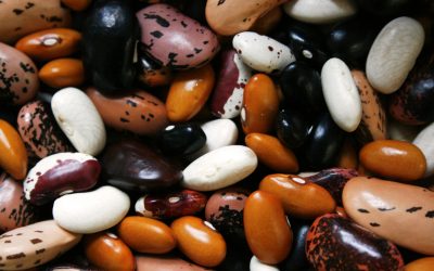 Legumes: A Love Story